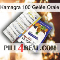 Kamagra 100 Gelée Orale 11